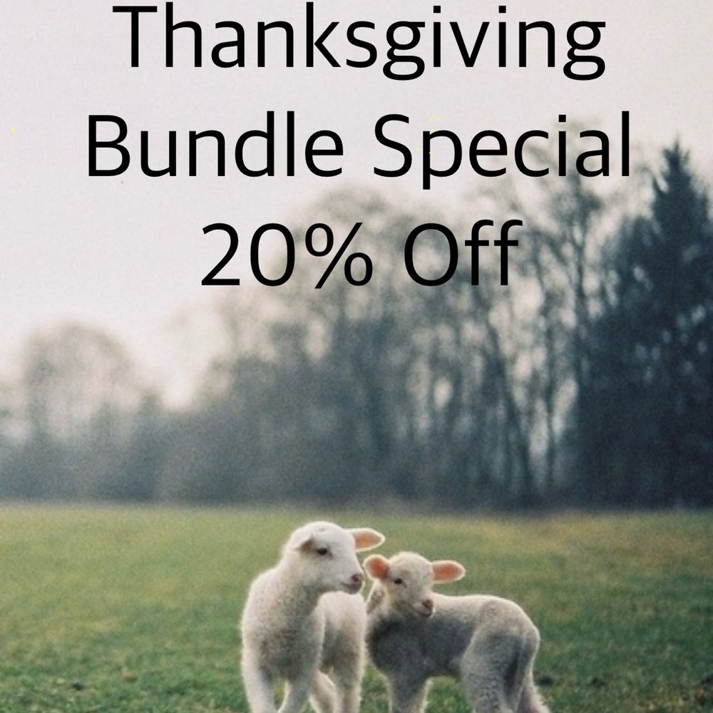 Last Day to save on your bundle! Thanksgiving Special!